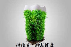 合肥牙齿种植牙科排行榜？