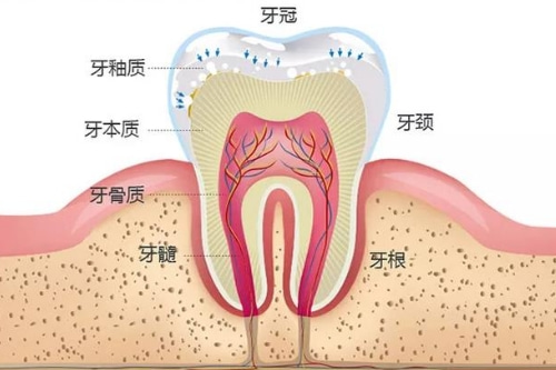 合肥洗牙哪个医院比较好