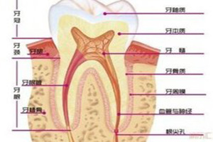 合肥儿童乳牙特色诊疗