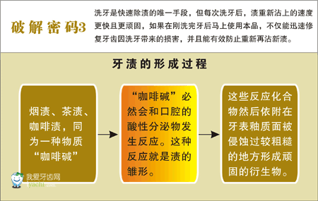 牙结石的形成过程