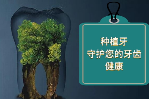 合肥种牙价格是多少?