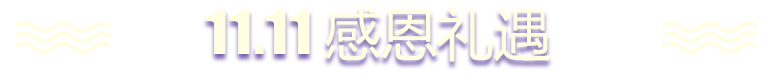 11.11感恩礼遇